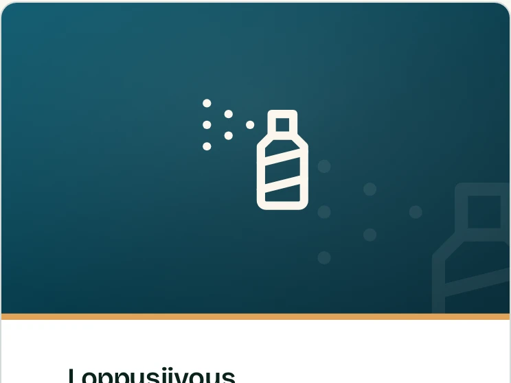 Asiakassivun lisäpalvelut: loppusiivous ja lemmikkimaksu hintoineen.